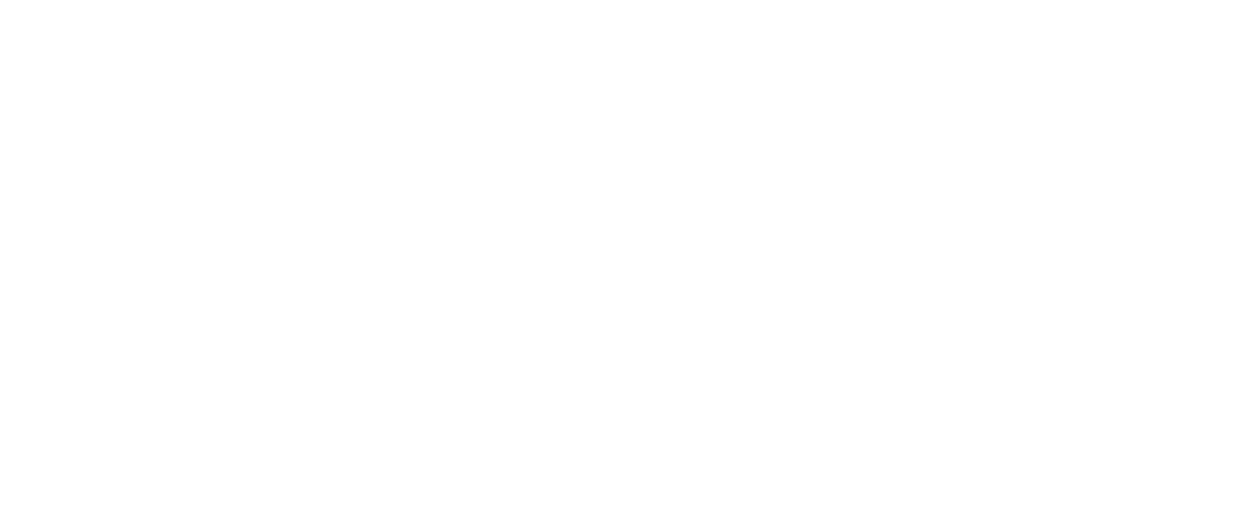 VITAUTO