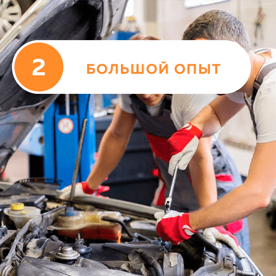 Главная Главная